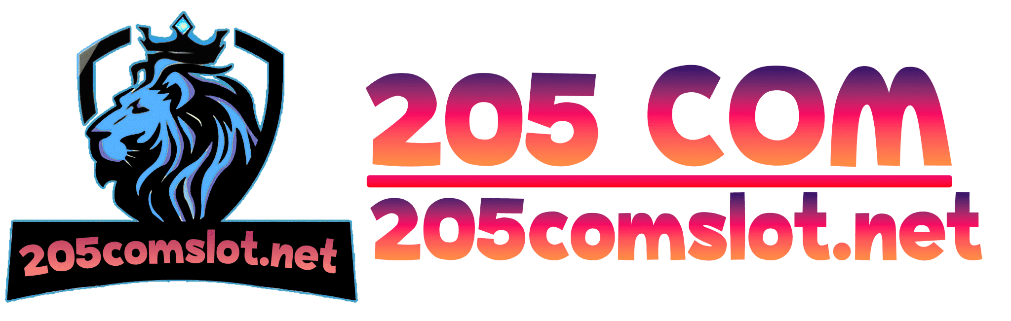 205 com